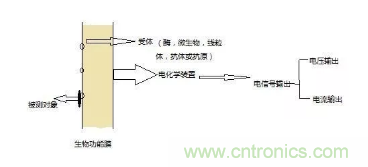 仿生傳感器的定義、原理、分類及應(yīng)用