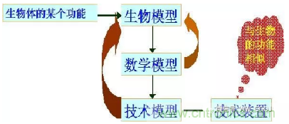 仿生傳感器的定義、原理、分類及應(yīng)用