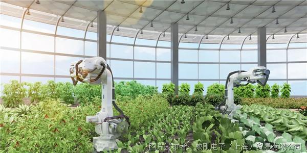 智慧農(nóng)業(yè)大有可為，“數(shù)字種地”更輕松